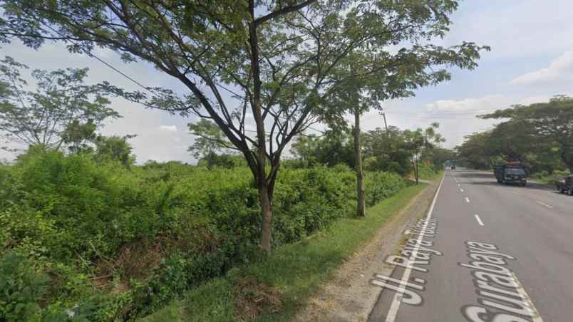 dijual tanah jl tuban babat