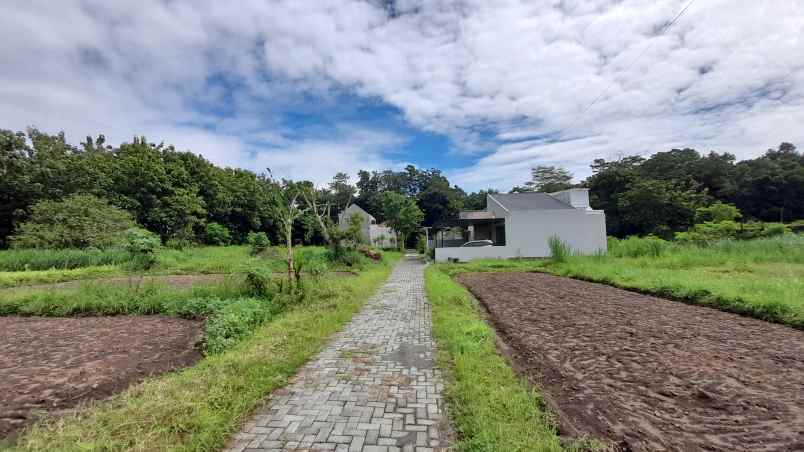 dijual tanah jl wijaya sardonoharjo