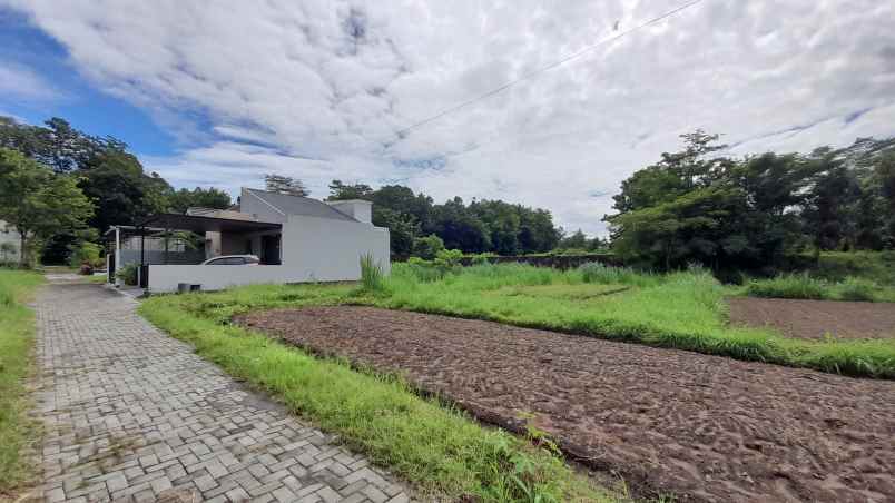 dijual tanah jl wijaya sardonoharjo