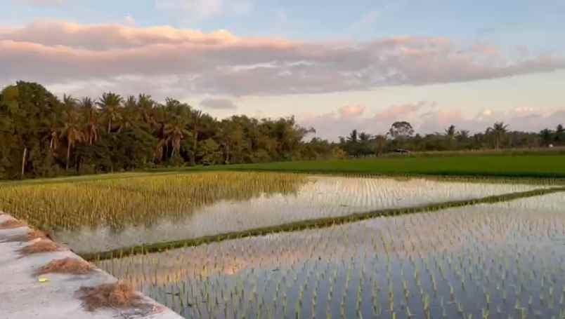 dijual tanah jln pantai keeungu