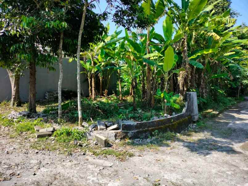 dijual tanah kalitirto