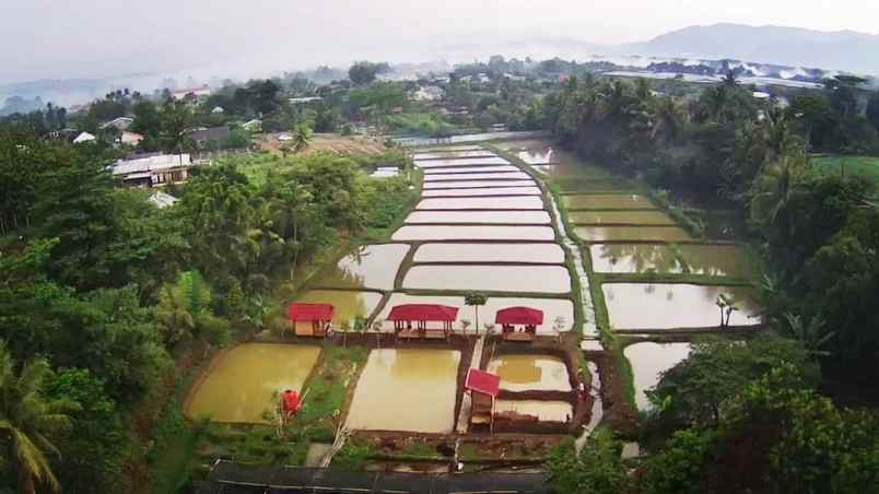 dijual tanah karihkil ciseeng bogor