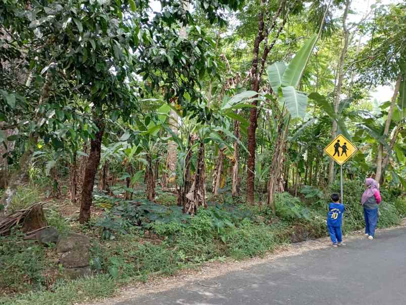 dijual tanah kebun jalur parawisata sidomba kuningan