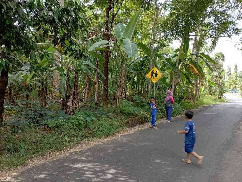 dijual tanah kebun jalur parawisata sidomba kuningan