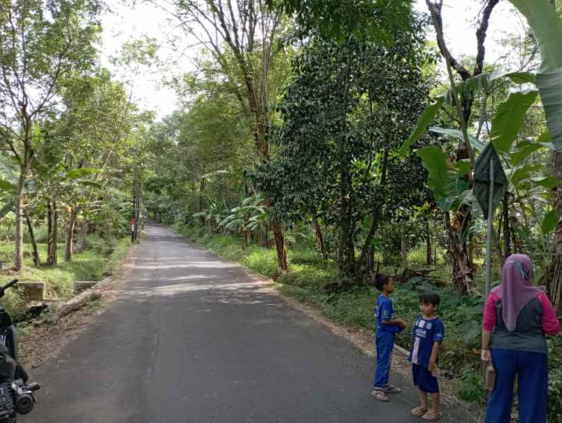 dijual tanah kebun jalur parawisata sidomba kuningan