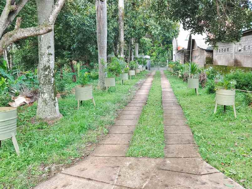 dijual tanah kecamatan mande cianjur