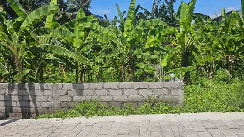 dijual tanah komersil lingkungan villa canggu berawa