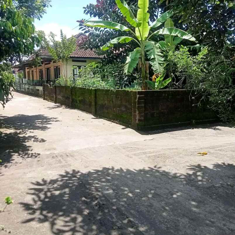 dijual tanah kopi gamol