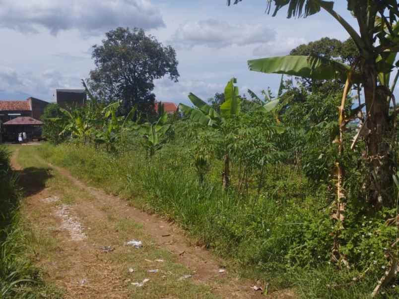 dijual tanah kp babakan sumedang