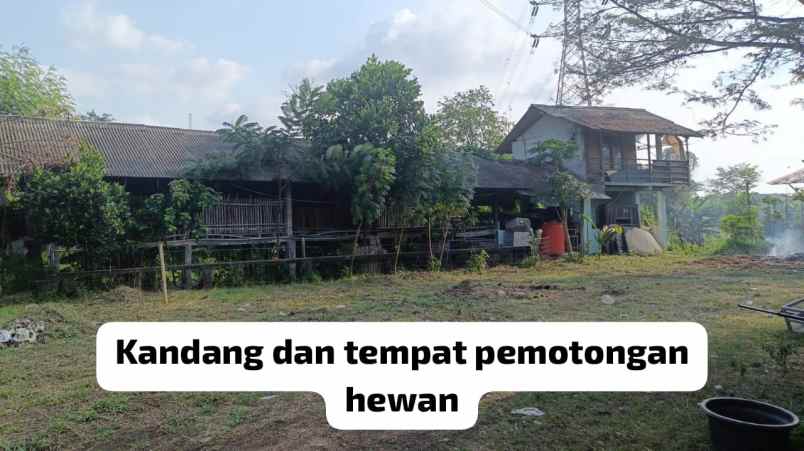 dijual tanah kp buwek raya rt 002 rw