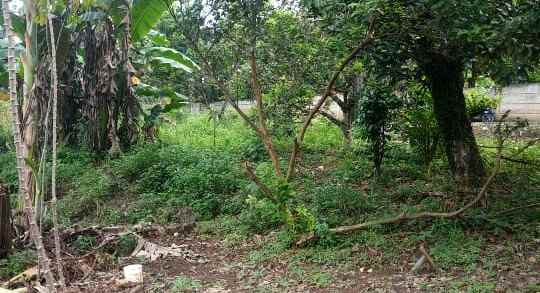 dijual tanah kp kapugur jl raya cikeas