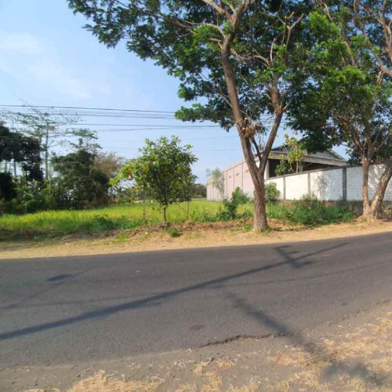 dijual tanah mojokendil ngronggot