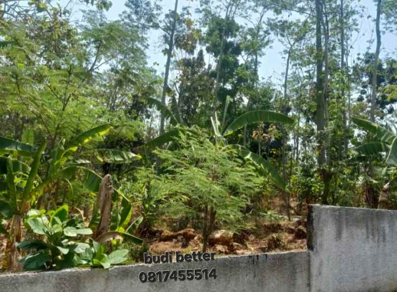 dijual tanah mulawarman tembalang semarang
