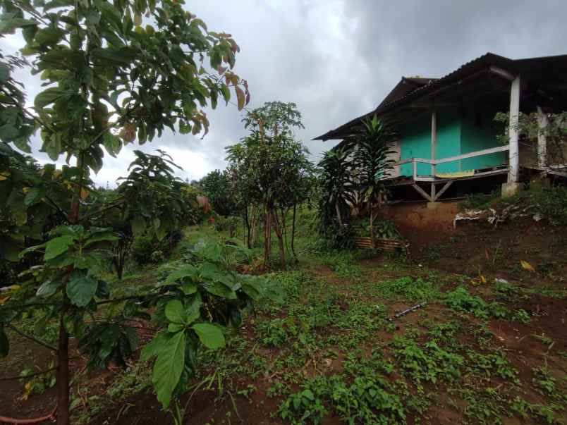 dijual tanah murah bist view gunung salak