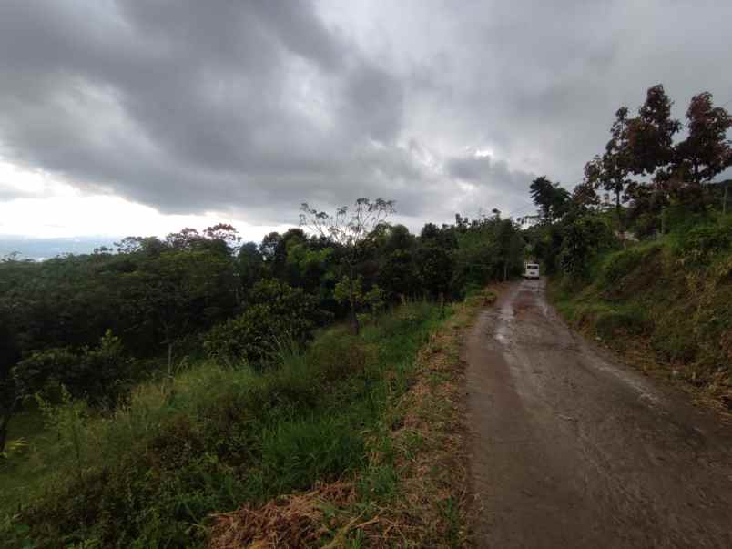 dijual tanah murah bist view gunung salak