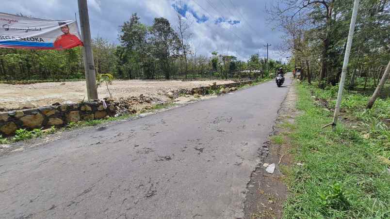 dijual tanah pacarejo semanu gunung