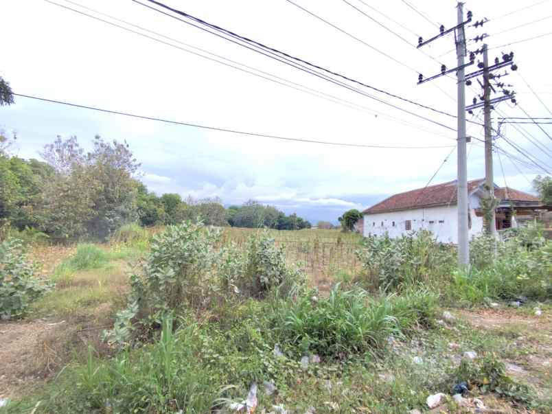 dijual tanah paiton