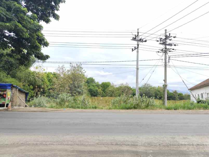 dijual tanah paiton