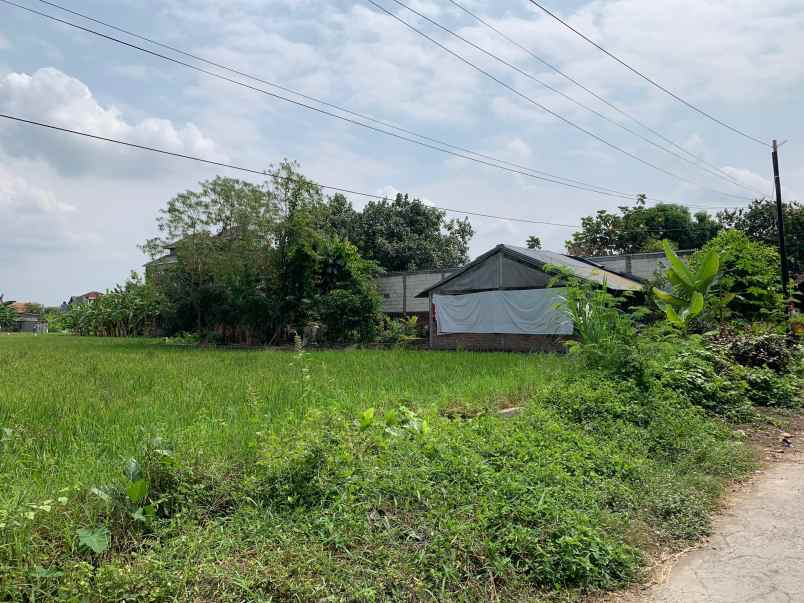 dijual tanah panggungharjo sewon bantul