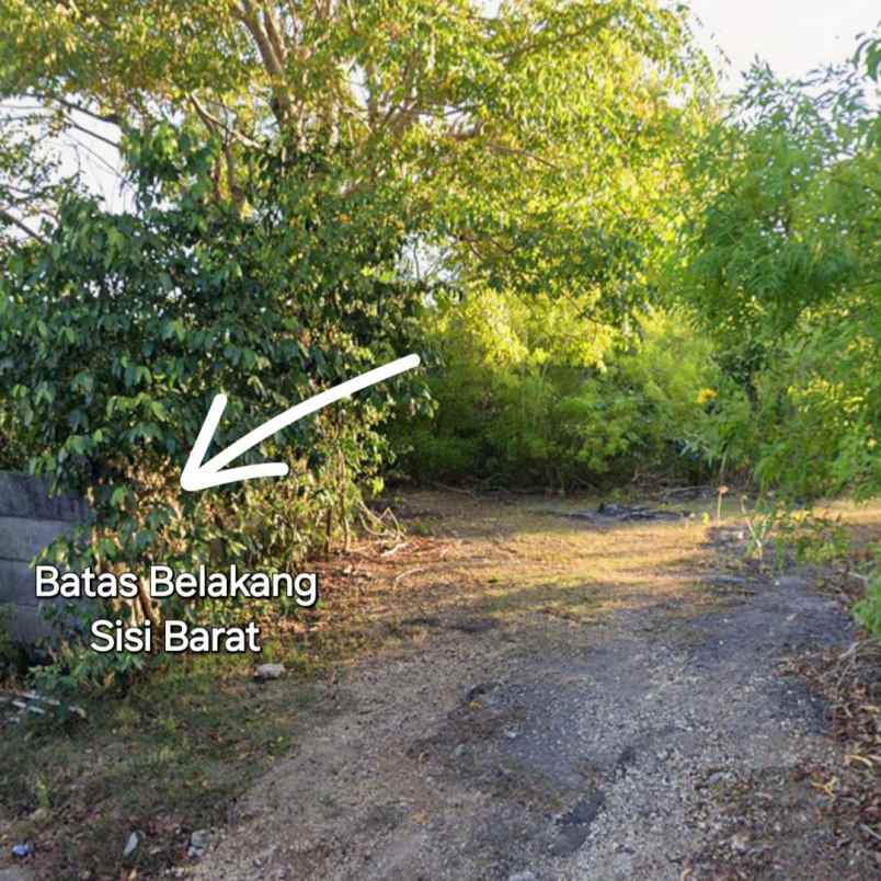 dijual tanah pecatu indah raya