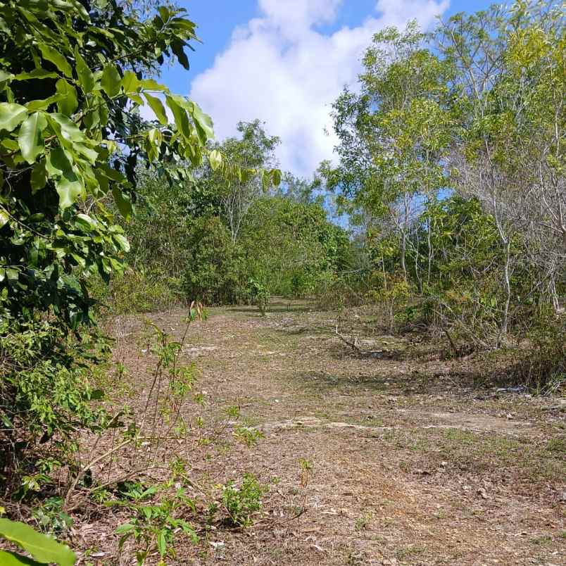 dijual tanah pecatu indah raya