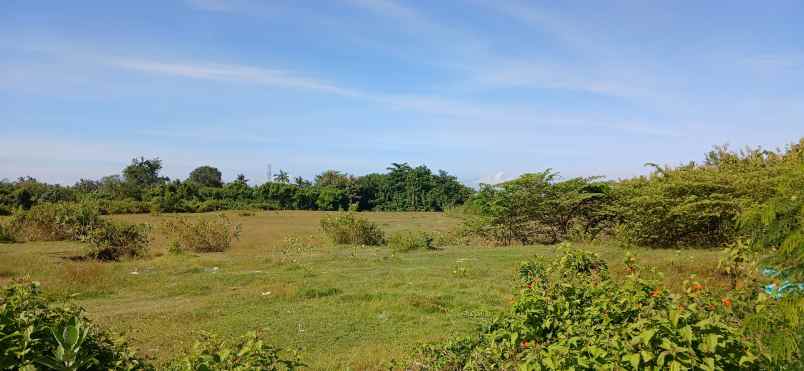 dijual tanah pengambengan negara