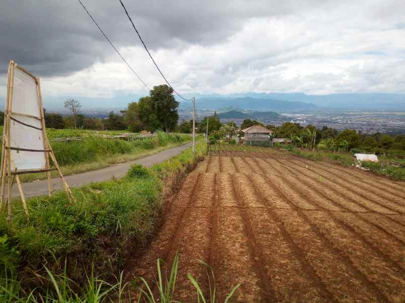 dijual tanah perbatasan desa