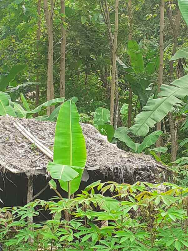 dijual tanah pinggir cirata desa