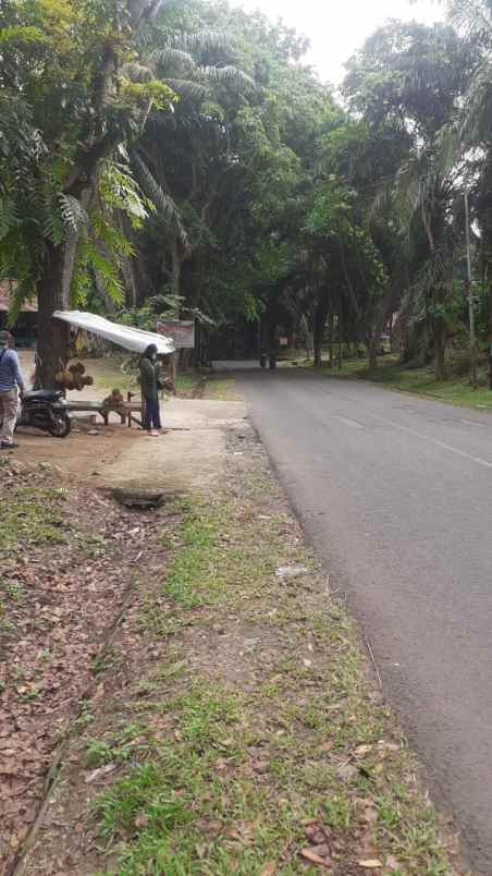 dijual tanah pinggir cirata desa