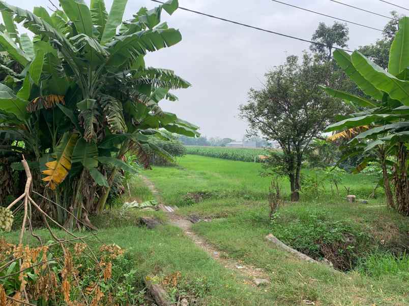 dijual tanah plot merah industri murah