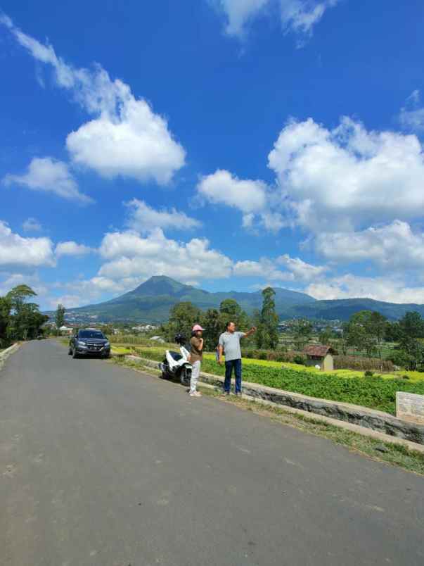 dijual tanah poros sumberejo tembusan