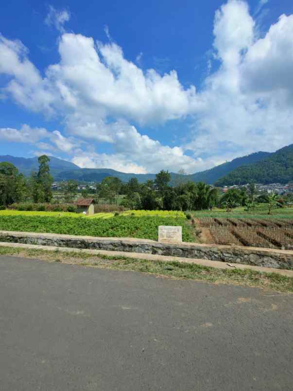 dijual tanah poros sumberejo tembusan