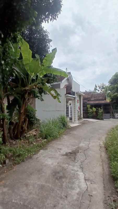 dijual tanah potorono
