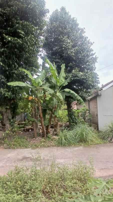 dijual tanah potorono