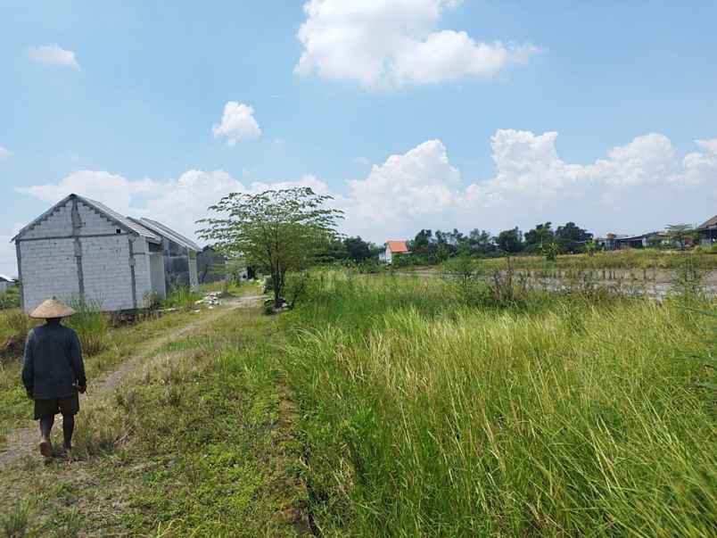 dijual tanah pranti kedamean gresik