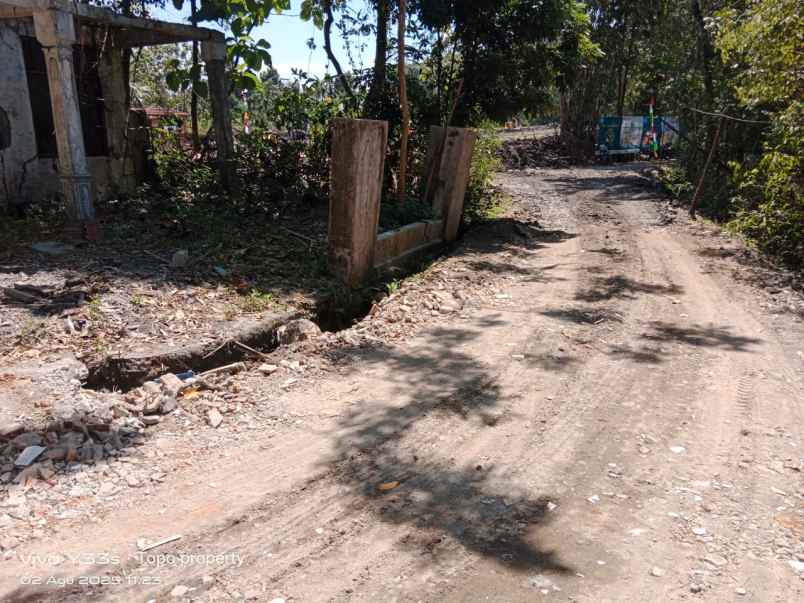 dijual tanah pucangan