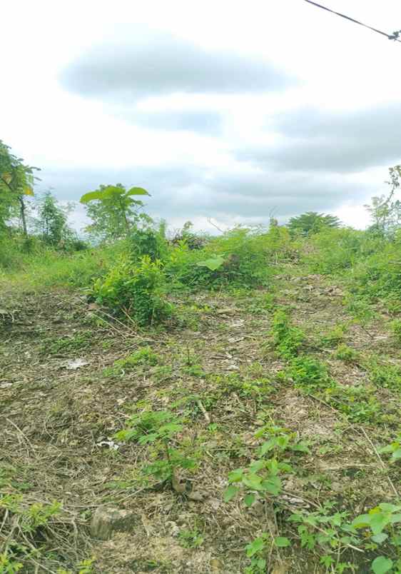 dijual tanah raya jatiwangi majalengka