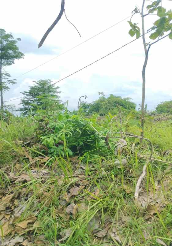 dijual tanah raya jatiwangi majalengka