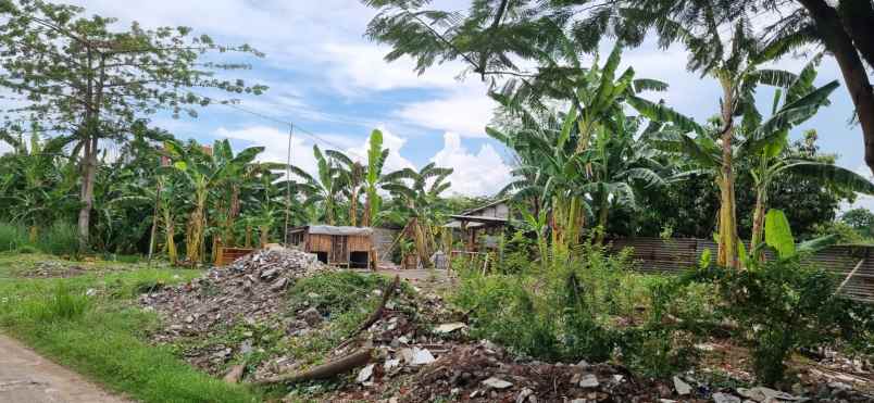 dijual tanah raya kutisari besar