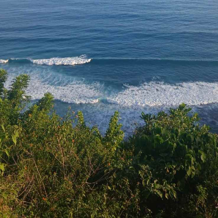dijual tanah savaya bali