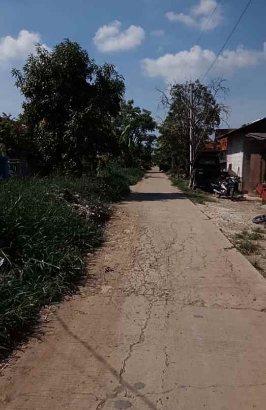 dijual tanah sawah di kedung pengawas babelan bekasi