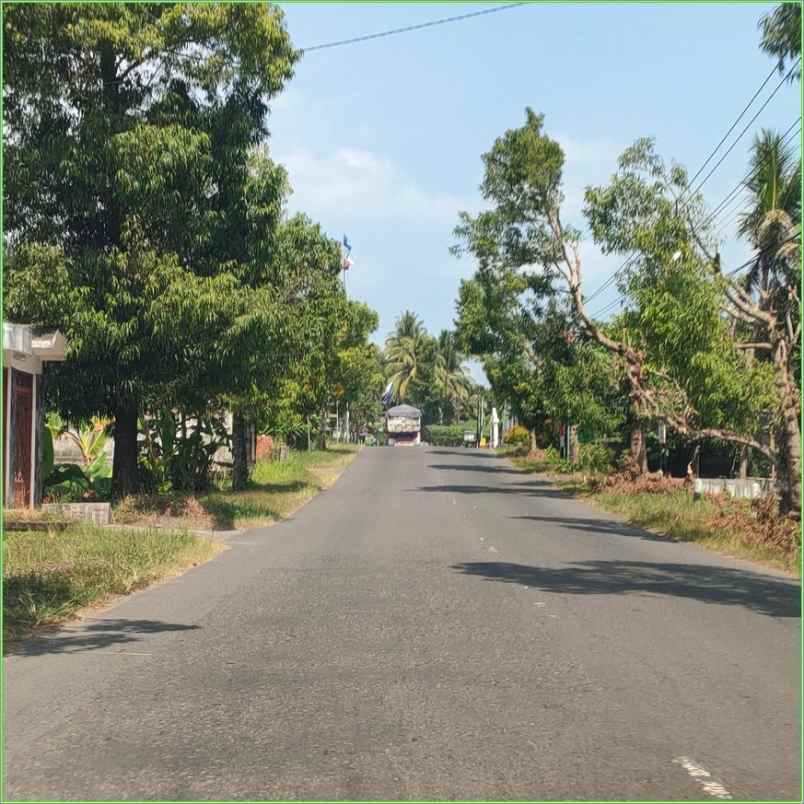 dijual tanah sedayu bantul