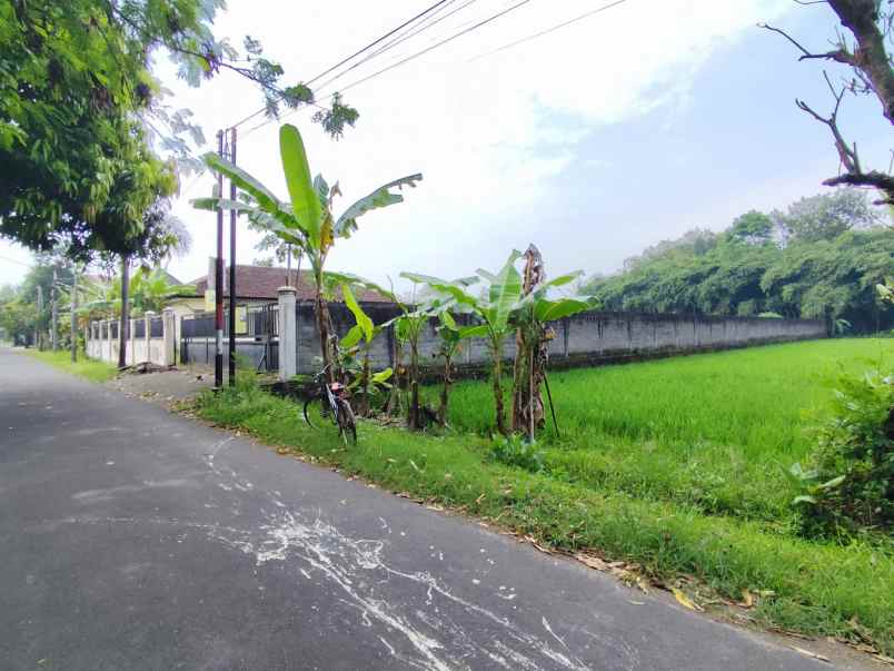 dijual tanah sendangtirto berbah