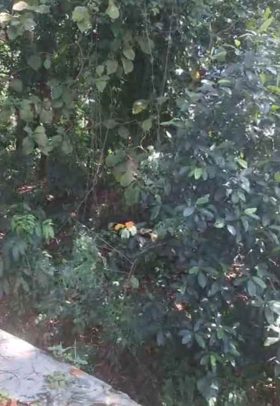 dijual tanah strategis pinggir jalan