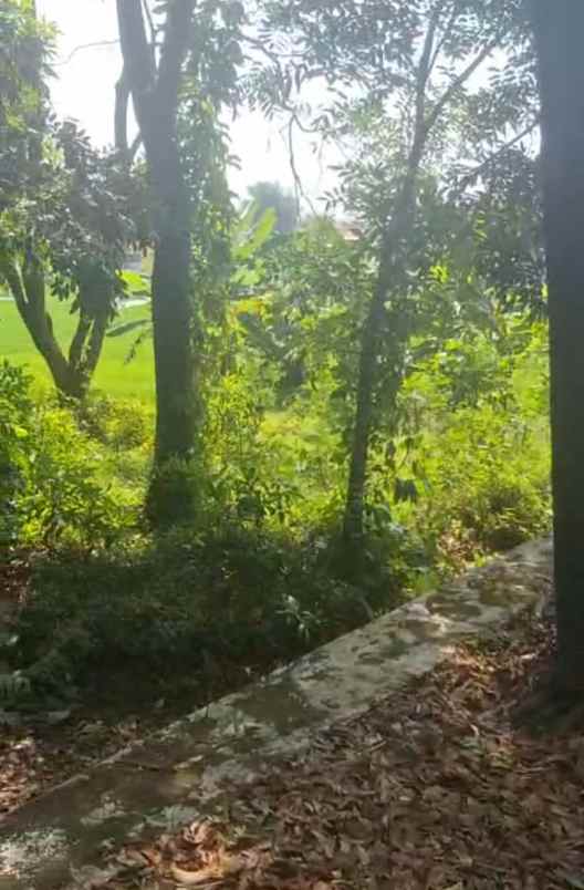 dijual tanah strategis pinggir jalan