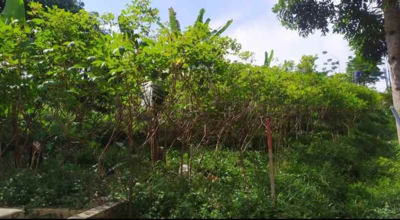 dijual tanah strategis pinggir jalan