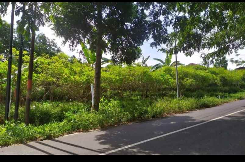 dijual tanah strategis pinggir jalan