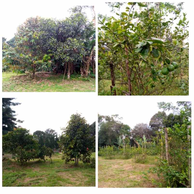 dijual tanah subang