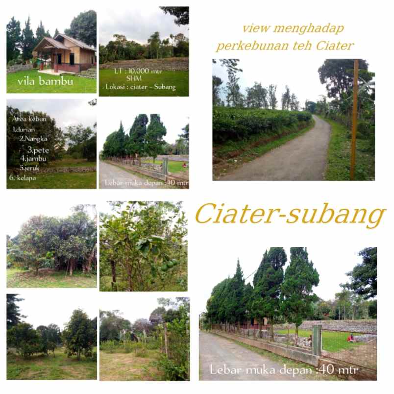 dijual tanah subang