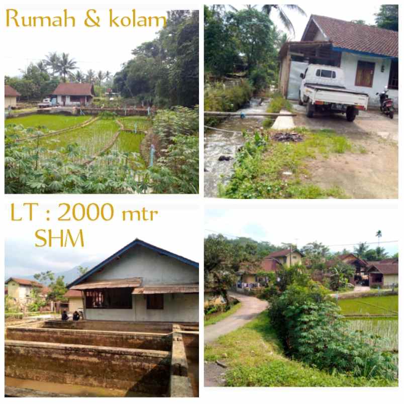 dijual tanah subang